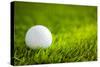 Golf Ball on Green Grass-jannoon028-Stretched Canvas