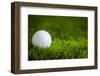 Golf Ball on Green Grass-jannoon028-Framed Photographic Print