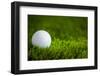 Golf Ball on Green Grass-jannoon028-Framed Photographic Print