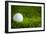 Golf Ball on Green Grass-jannoon028-Framed Photographic Print