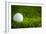 Golf Ball on Green Grass-jannoon028-Framed Photographic Print