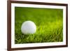 Golf Ball on Green Grass-jannoon028-Framed Photographic Print