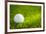 Golf Ball on Green Grass-jannoon028-Framed Photographic Print