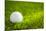 Golf Ball on Green Grass-jannoon028-Mounted Photographic Print