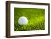 Golf Ball on Green Grass-jannoon028-Framed Photographic Print