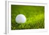 Golf Ball on Green Grass-jannoon028-Framed Photographic Print