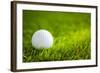 Golf Ball on Green Grass-jannoon028-Framed Photographic Print