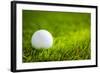 Golf Ball on Green Grass-jannoon028-Framed Photographic Print