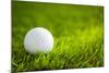 Golf Ball on Green Grass-jannoon028-Mounted Photographic Print