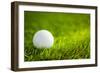 Golf Ball on Green Grass-jannoon028-Framed Photographic Print