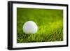 Golf Ball on Green Grass-jannoon028-Framed Photographic Print