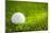 Golf Ball on Green Grass-jannoon028-Mounted Photographic Print