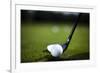 Golf Ball on Green Meadow, Driver-JanPietruszka-Framed Photographic Print
