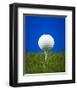 Golf Ball on Tee Blue Back-null-Framed Art Print