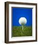 Golf Ball on Tee Blue Back-null-Framed Art Print