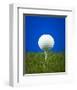 Golf Ball on Tee Blue Back-null-Framed Art Print