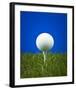 Golf Ball on Tee Blue Back-null-Framed Art Print