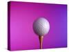 Golf Ball on Tee-null-Stretched Canvas