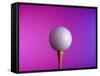 Golf Ball on Tee-null-Framed Stretched Canvas