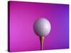 Golf Ball on Tee-null-Stretched Canvas