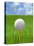 Golf ball on tee-Gaetano-Stretched Canvas