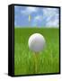 Golf ball on tee-Gaetano-Framed Stretched Canvas