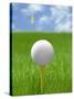 Golf ball on tee-Gaetano-Stretched Canvas