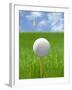 Golf ball on tee-Gaetano-Framed Photographic Print