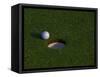 Golf Ball Sitting Near the Hole-null-Framed Stretched Canvas