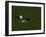 Golf Ball Sitting Near the Hole-null-Framed Photographic Print