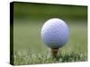 Golf Ball Sitting Oin a Tee-null-Stretched Canvas