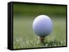 Golf Ball Sitting Oin a Tee-null-Framed Stretched Canvas