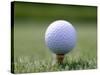 Golf Ball Sitting Oin a Tee-null-Stretched Canvas