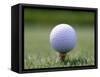 Golf Ball Sitting Oin a Tee-null-Framed Stretched Canvas