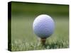 Golf Ball Sitting Oin a Tee-null-Stretched Canvas