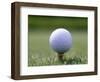 Golf Ball Sitting Oin a Tee-null-Framed Photographic Print