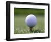 Golf Ball Sitting Oin a Tee-null-Framed Photographic Print