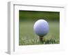 Golf Ball Sitting Oin a Tee-null-Framed Photographic Print