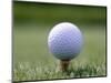 Golf Ball Sitting Oin a Tee-null-Mounted Photographic Print