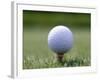 Golf Ball Sitting Oin a Tee-null-Framed Photographic Print