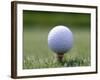 Golf Ball Sitting Oin a Tee-null-Framed Photographic Print