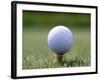 Golf Ball Sitting Oin a Tee-null-Framed Photographic Print