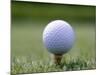 Golf Ball Sitting Oin a Tee-null-Mounted Photographic Print