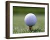 Golf Ball Sitting Oin a Tee-null-Framed Photographic Print