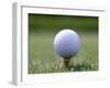 Golf Ball Sitting Oin a Tee-null-Framed Photographic Print