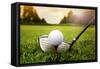 Golf Club and Ball in Grass-mikdam-Framed Stretched Canvas