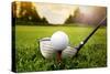 Golf Club and Ball in Grass-mikdam-Stretched Canvas