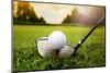 Golf Club and Ball in Grass-mikdam-Mounted Photographic Print