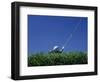 Golf Club Lined Up with Golf Ball on Tee-Mitch Diamond-Framed Photographic Print