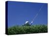 Golf Club Lined Up with Golf Ball on Tee-Mitch Diamond-Stretched Canvas